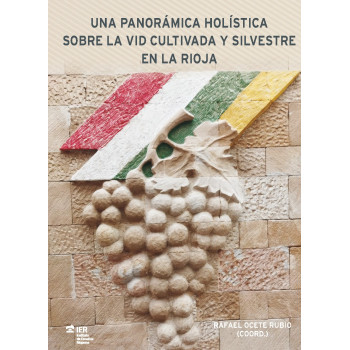 UNA PANORÁMICA HOLÍSTICA...